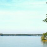 Bear Creek Educational Forest at Lake Talquin State Forest